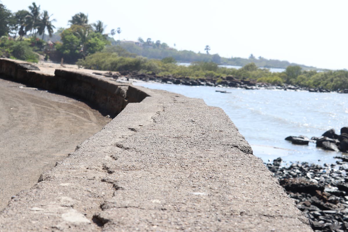 Cracked seawall along a rocky shoreline with trees in the background on a sunny day.